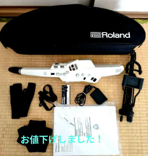 Roland Others Ae-10