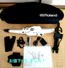 Roland Others Ae-10