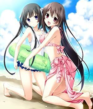 Others Psvita