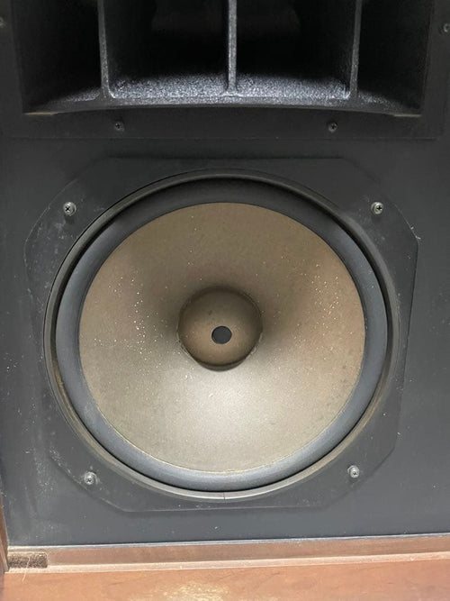 Onkyo Speakers Scepter 100