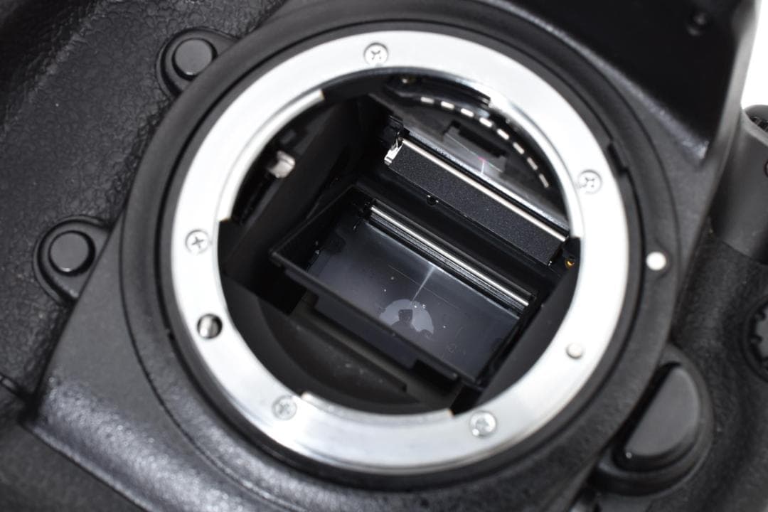 Digital Slr Nikon D2X #21346