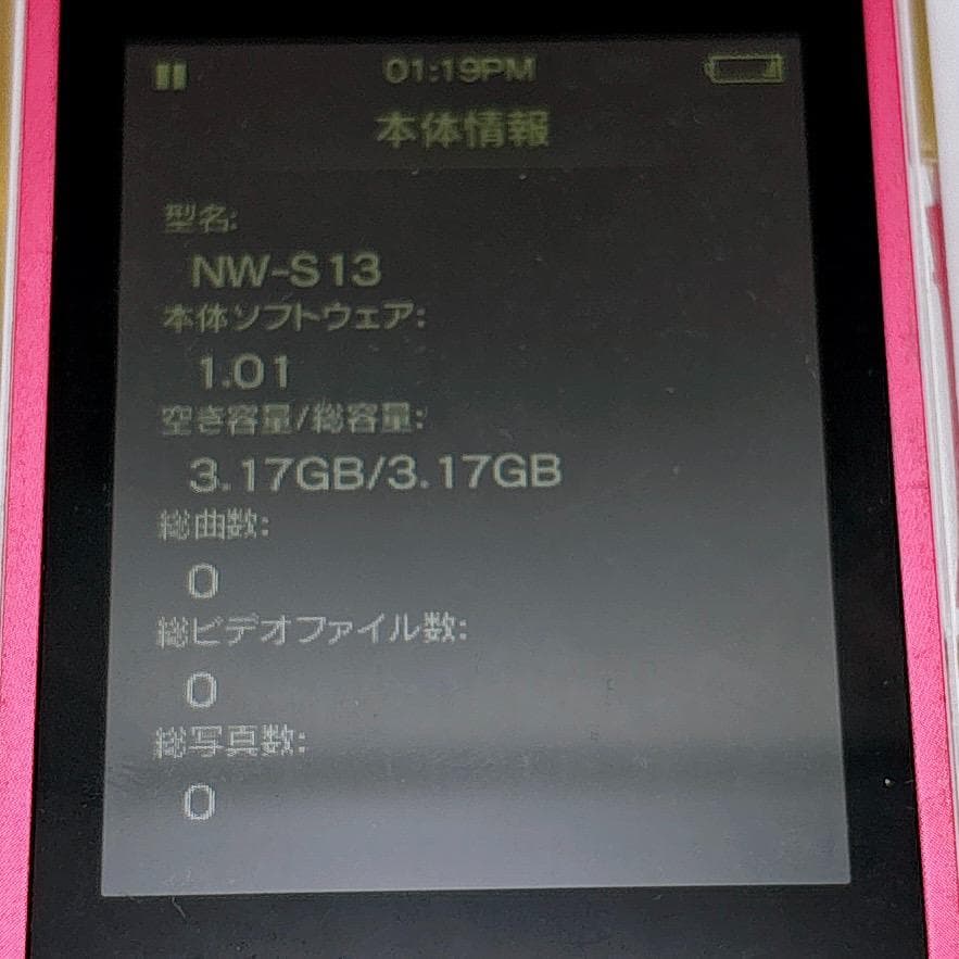 Sony Digital Audio Player Walkman Nw-S13 4Gb