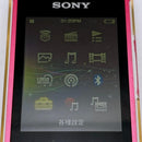 Sony Digital Audio Player Walkman Nw-S13 4Gb