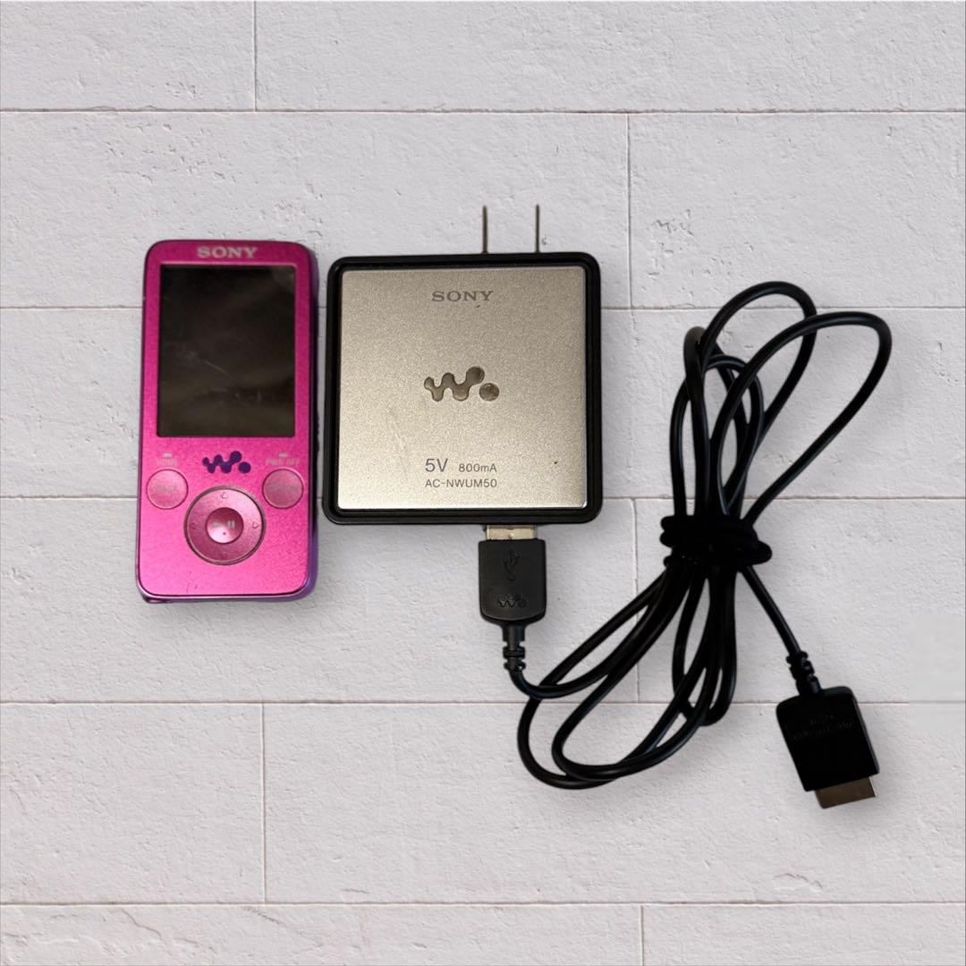 Sony Digital Audio Players Nw-S638F 8Gb