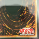 Yu-Gi-Oh! Ocg Duel Monsters (Foreign Languages) Ars9 1St