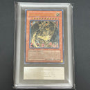 Yu-Gi-Oh! Ocg Duel Monsters (Foreign Languages) Ars9 1St