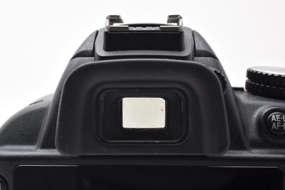 Nikon Digital Slrs D3100