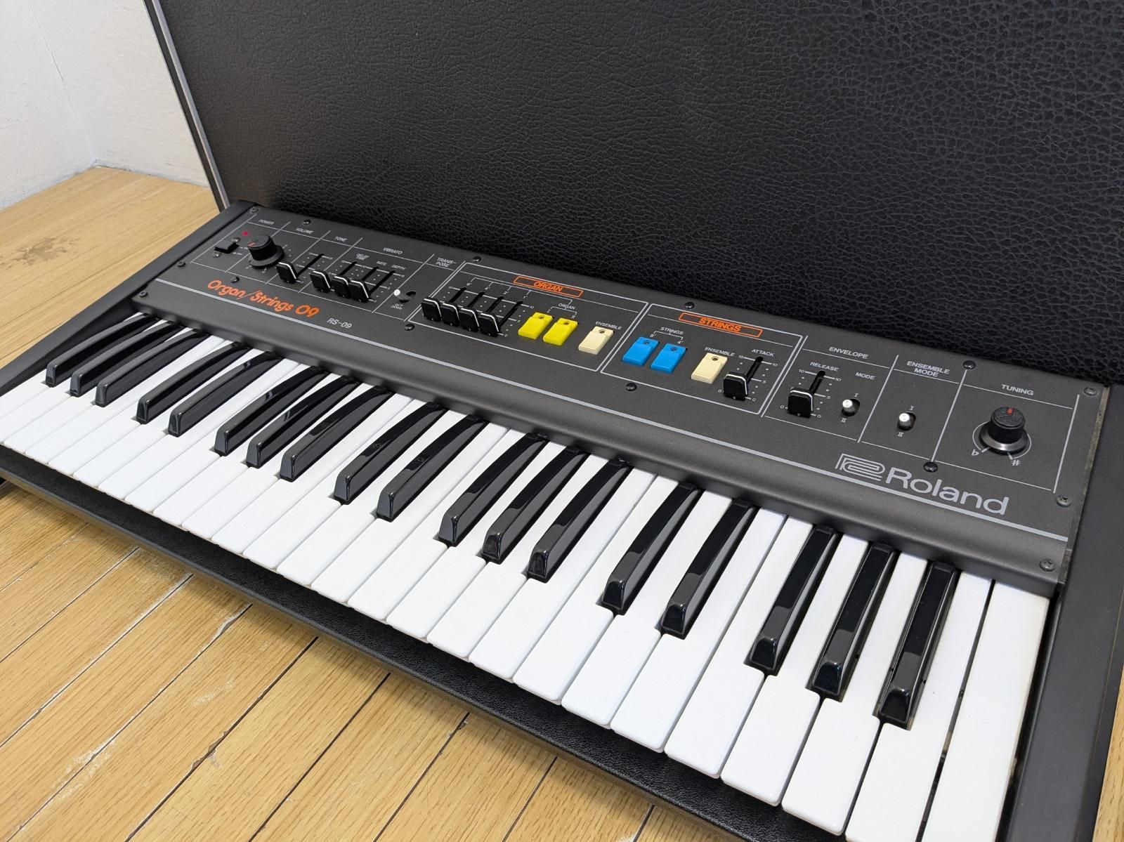 Roland Analog Synthesizer Rs-09