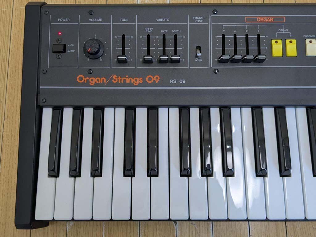 Roland Analog Synthesizer Rs-09
