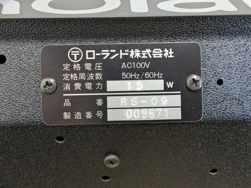 Roland Analog Synthesizer Rs-09