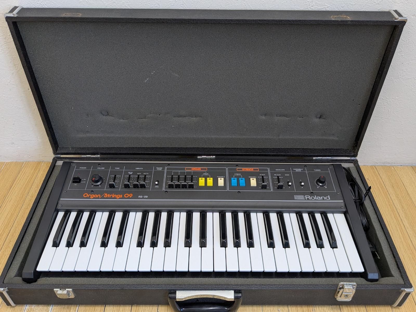 Roland Analog Synthesizer Rs-09