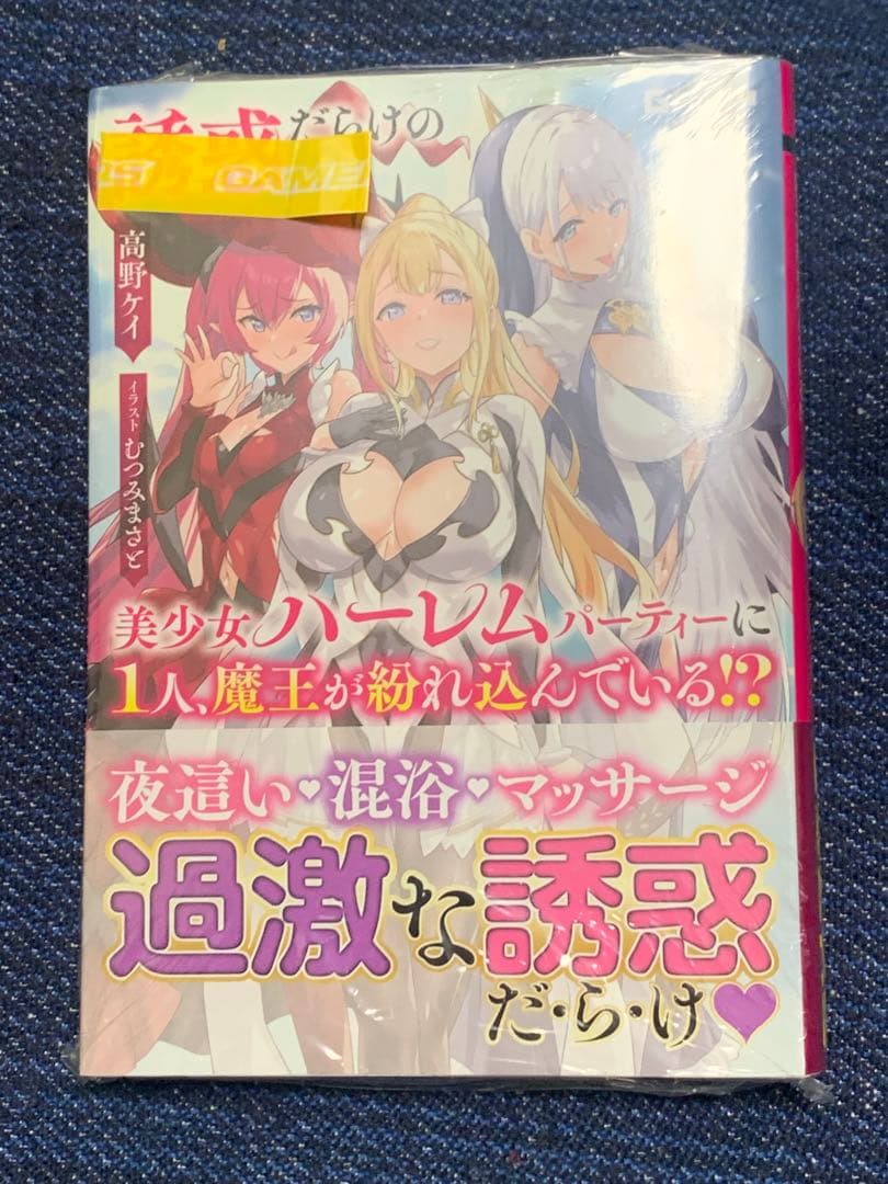 Literature Novel 1
