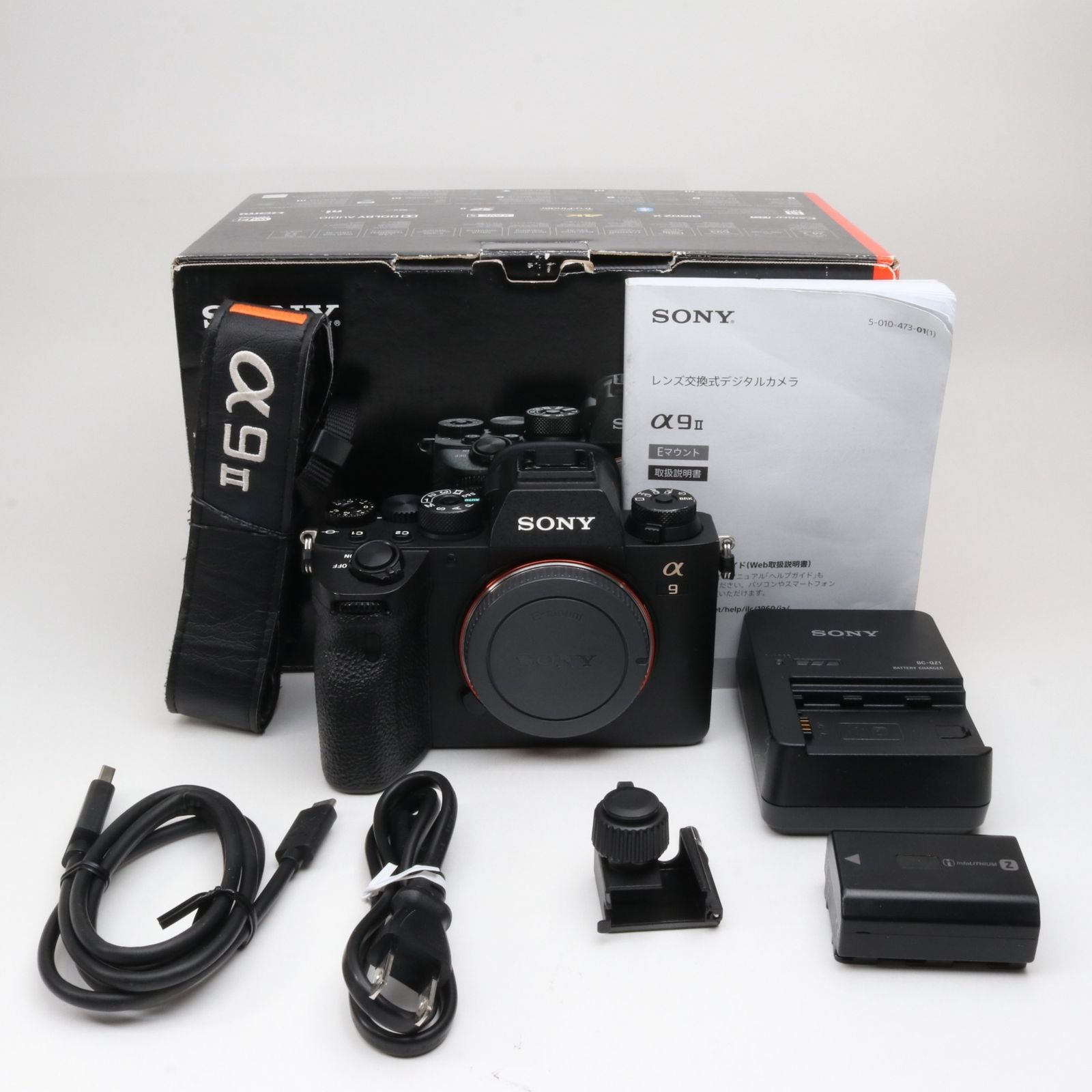 Sony Mirrorless Interchangeable Lips 15100 9M2 Ilce-9M2 E