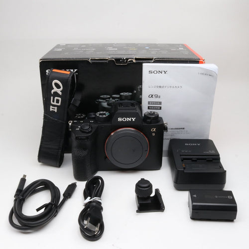 Sony Mirrorless Interchangeable Lips 15100 9M2 Ilce-9M2 E