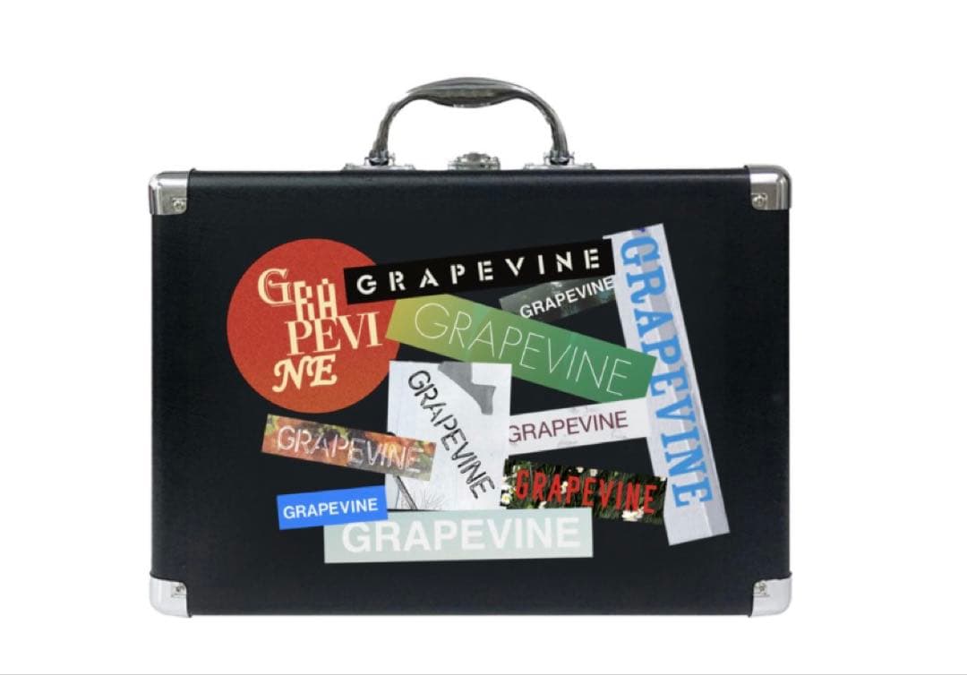 Ion Audio Record Player Body Grapevine