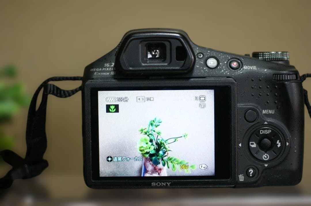 Sony Compact Digital Camera Hx100V