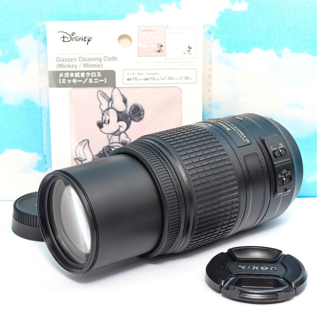 Nikon Lens (Zoom) 55 300