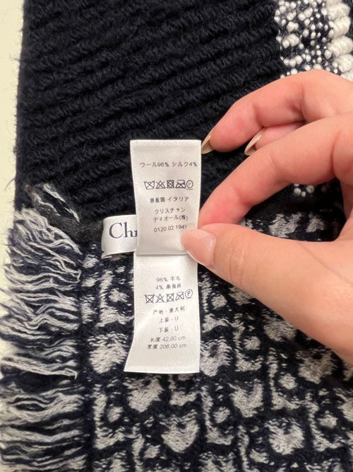 Christian Dior Scarves