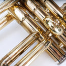 Yamaha Trumpet Body Ytr-233 (487)