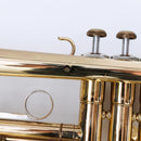 Yamaha Trumpet Body Ytr-233 (487)