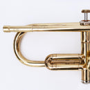 Yamaha Trumpet Body Ytr-233 (487)