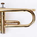 Yamaha Trumpet Body Ytr-233 (487)