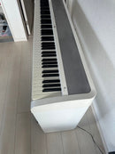 Korg Keyboards Digital Pianos B1