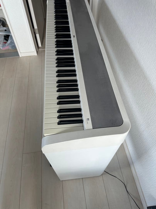 Korg Keyboards Digital Pianos B1