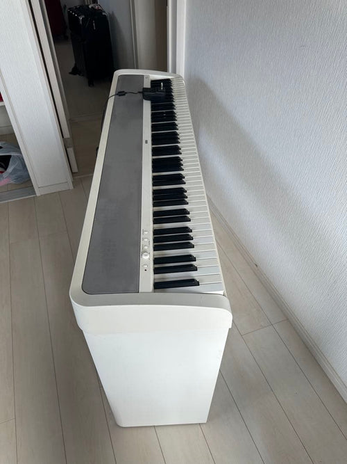 Korg Keyboards Digital Pianos B1