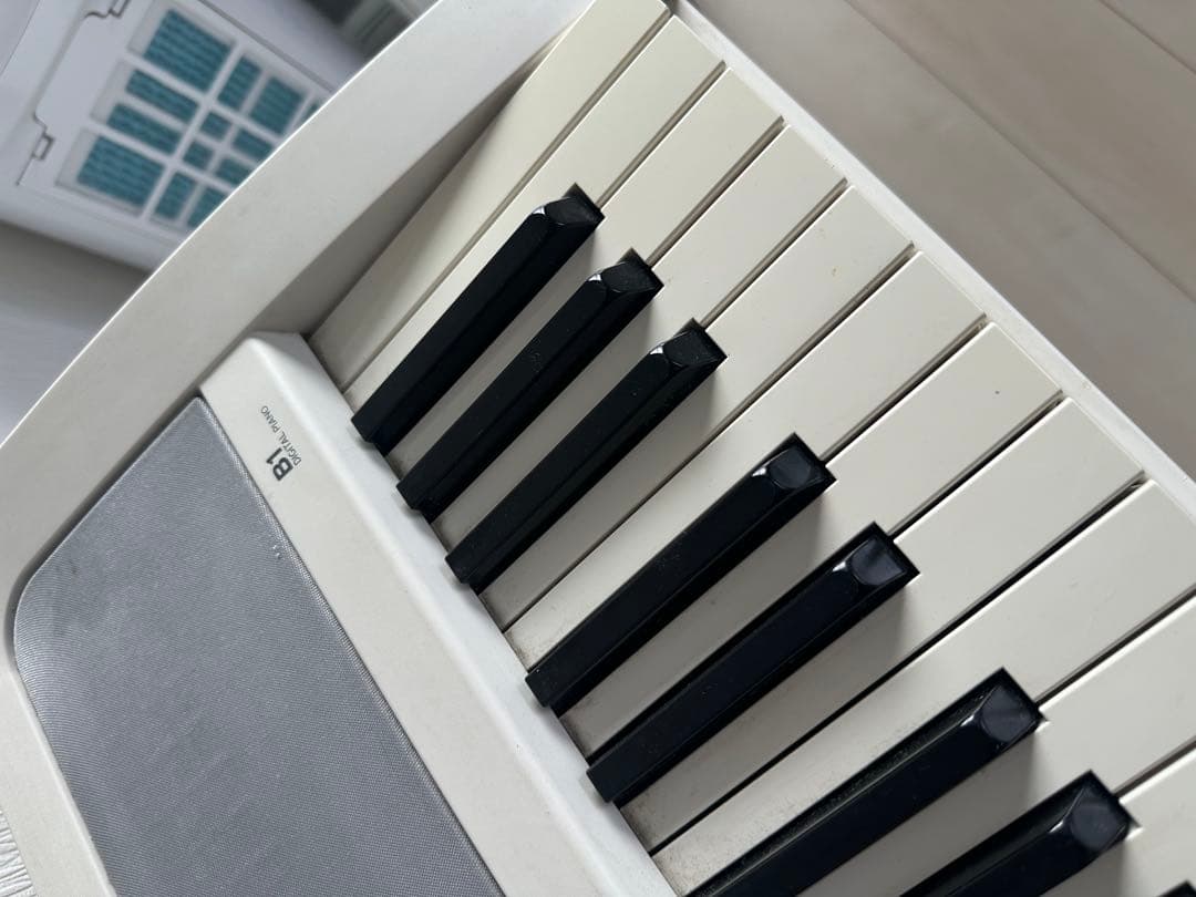 Korg Keyboards Digital Pianos B1
