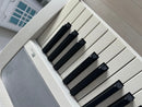 Korg Keyboards Digital Pianos B1