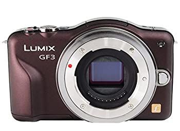 Digital Slr Panasonic Lumix Gf3 Dmc-Gf3