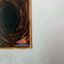 Yu-Gi-Oh! Ocg Duel Monsters (Japanese)