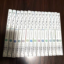 Seinen Manga