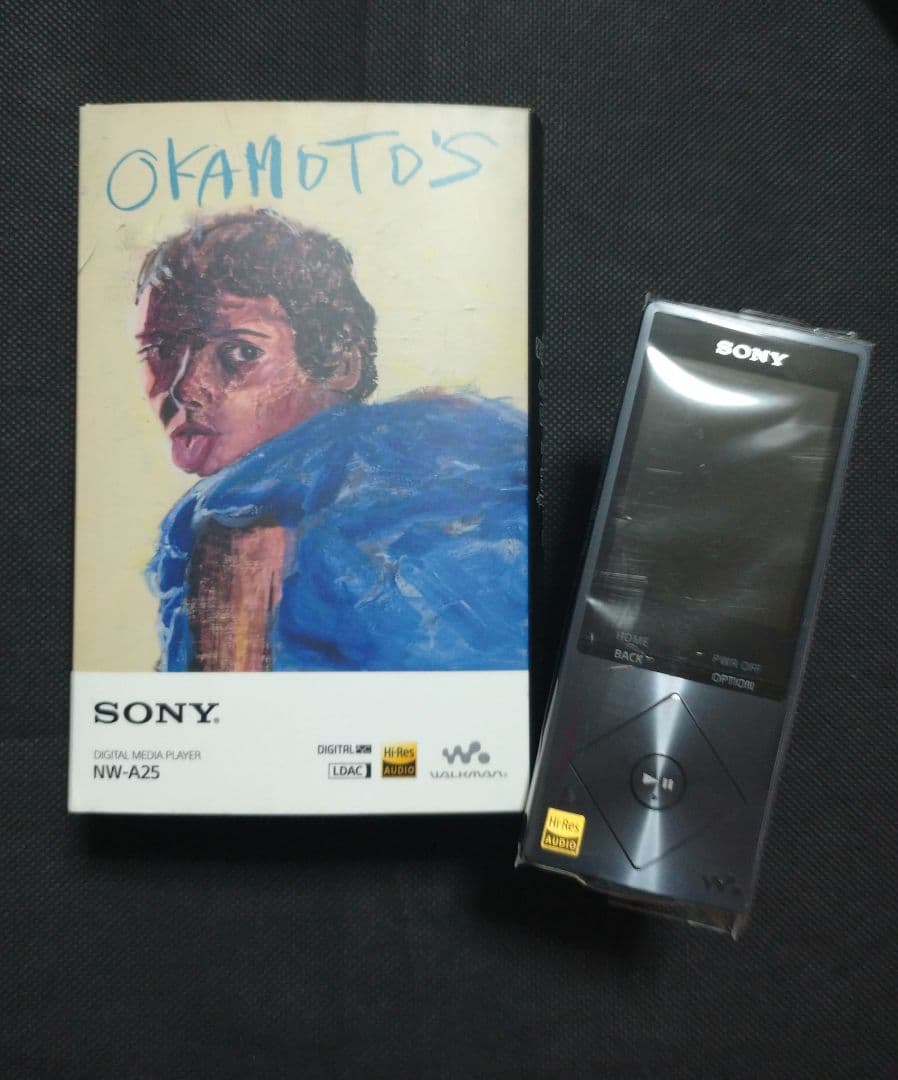 Sony Digital Audio Player