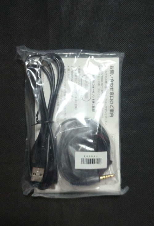 Sony Digital Audio Player