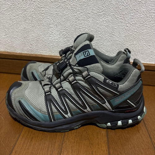 Salomon Sneakers