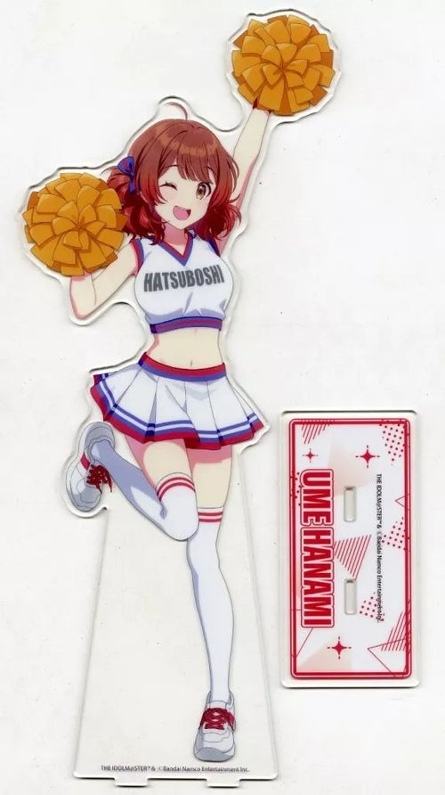 Acrylic Stand S-3