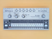 Roland Rhythm Machines Tr-606 Drumatix