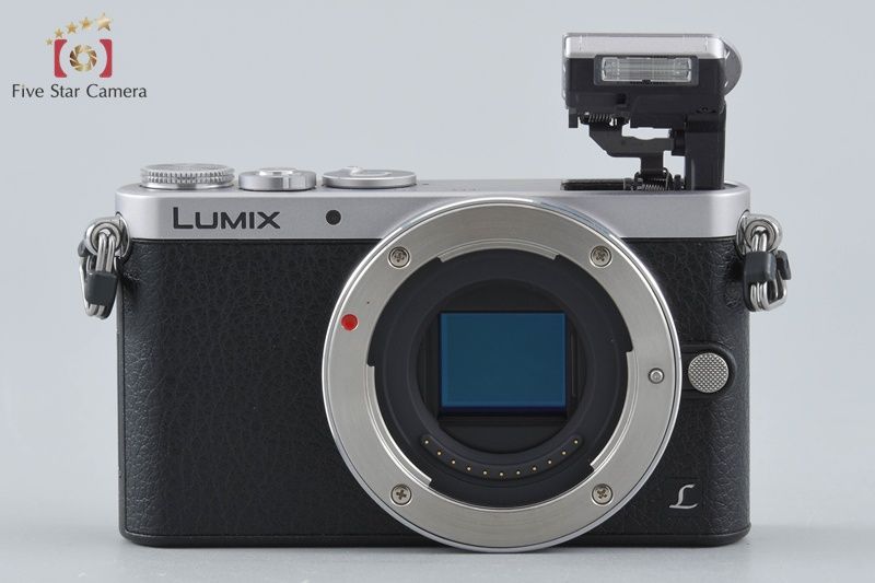 Panasonic Mirrorless Interchangeable Lips Lumix Dmc-Gm1