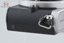 Panasonic Mirrorless Interchangeable Lips Lumix Dmc-Gm1