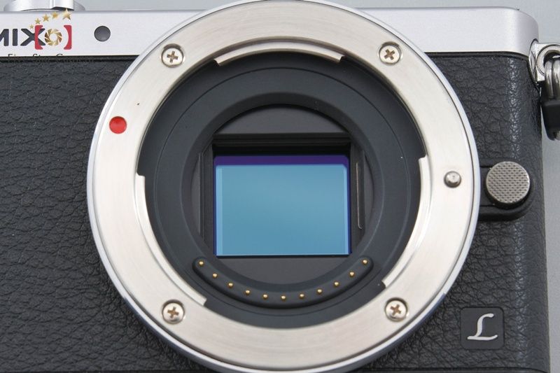 Panasonic Mirrorless Interchangeable Lips Lumix Dmc-Gm1