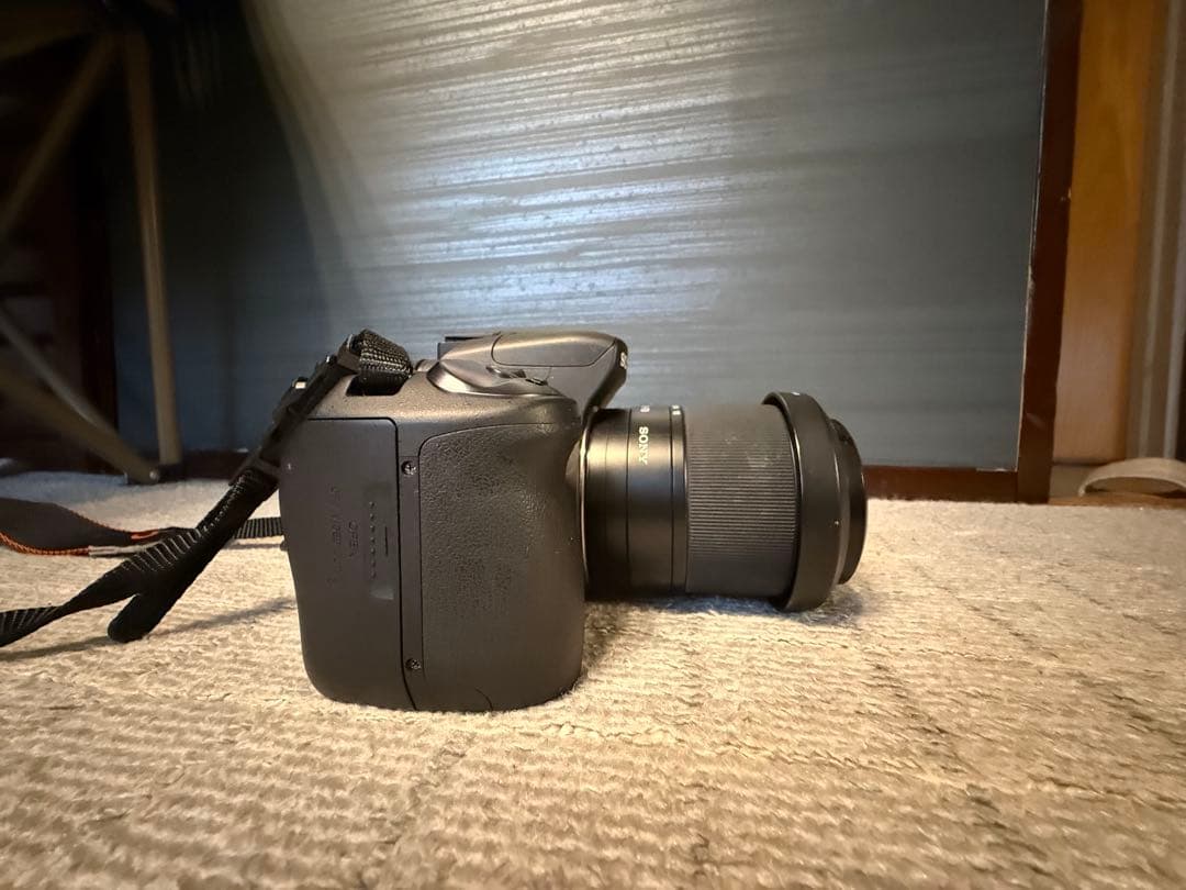 Digital Slrs Sony 300