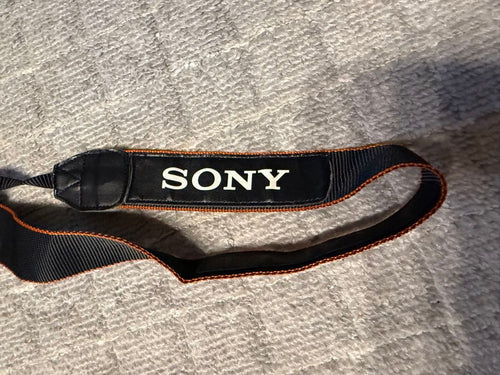 Digital Slrs Sony 300