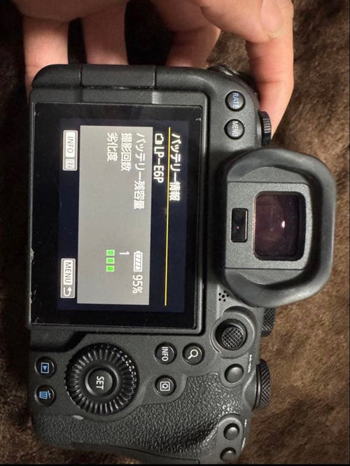 Canon Mirrorless Interchangeable Lens Cameras Eos R6 Mark Ii Mark2