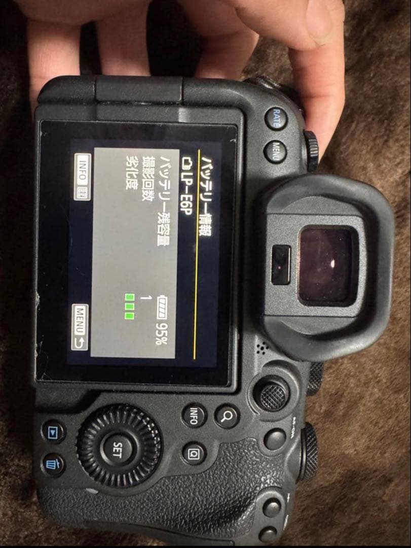 Canon Mirrorless Interchangeable Lens Cameras Eos R6 Mark Ii Mark2