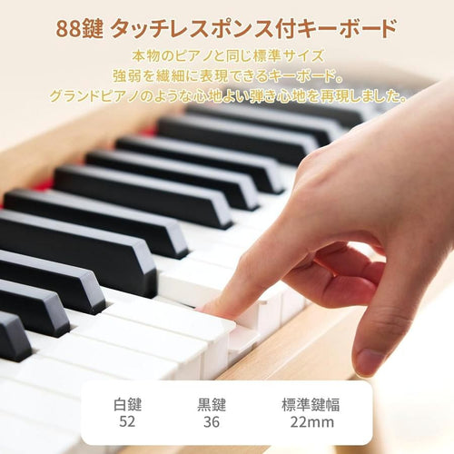 Others Aortd 88 Midi 128