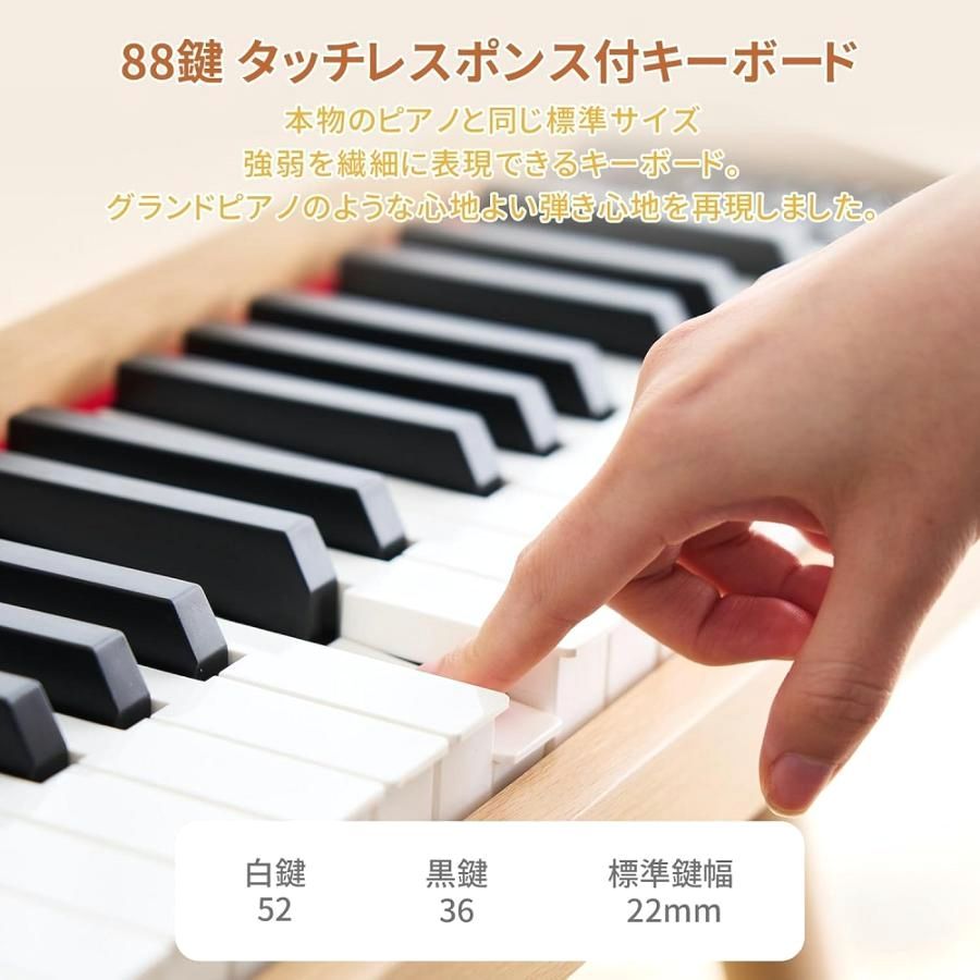 Others Aortd 88 Midi 128