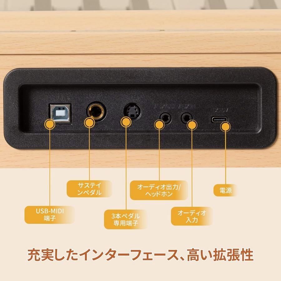 Others Aortd 88 Midi 128