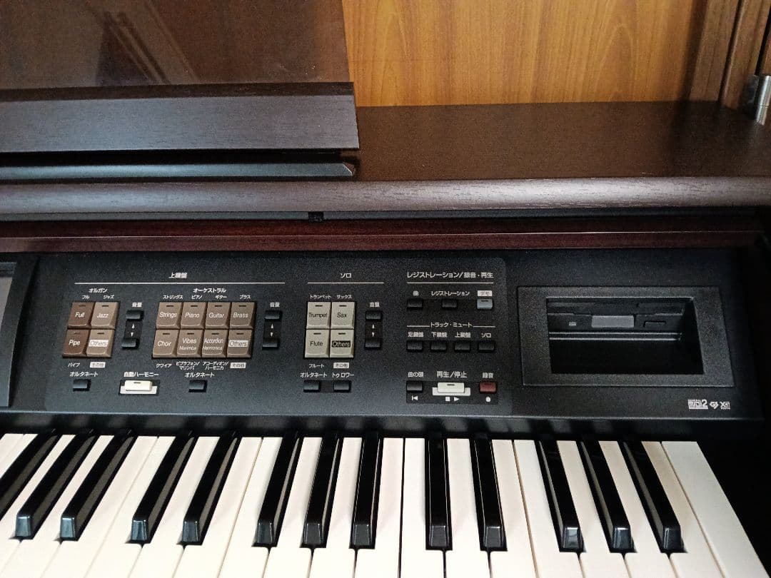 Roland Electronic Organ At-45